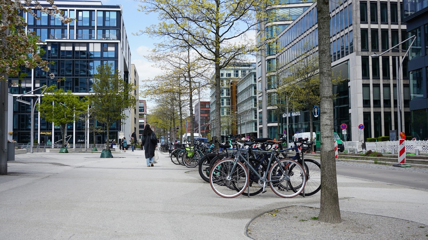 How will universities respond to the 6 per cent international student levy?