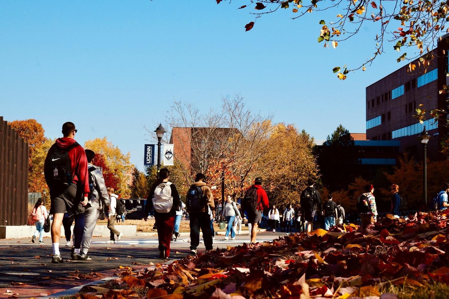 Universities must become more open to non-academic talent