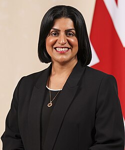 Illegal migration tearing UK apart, Mahmood says