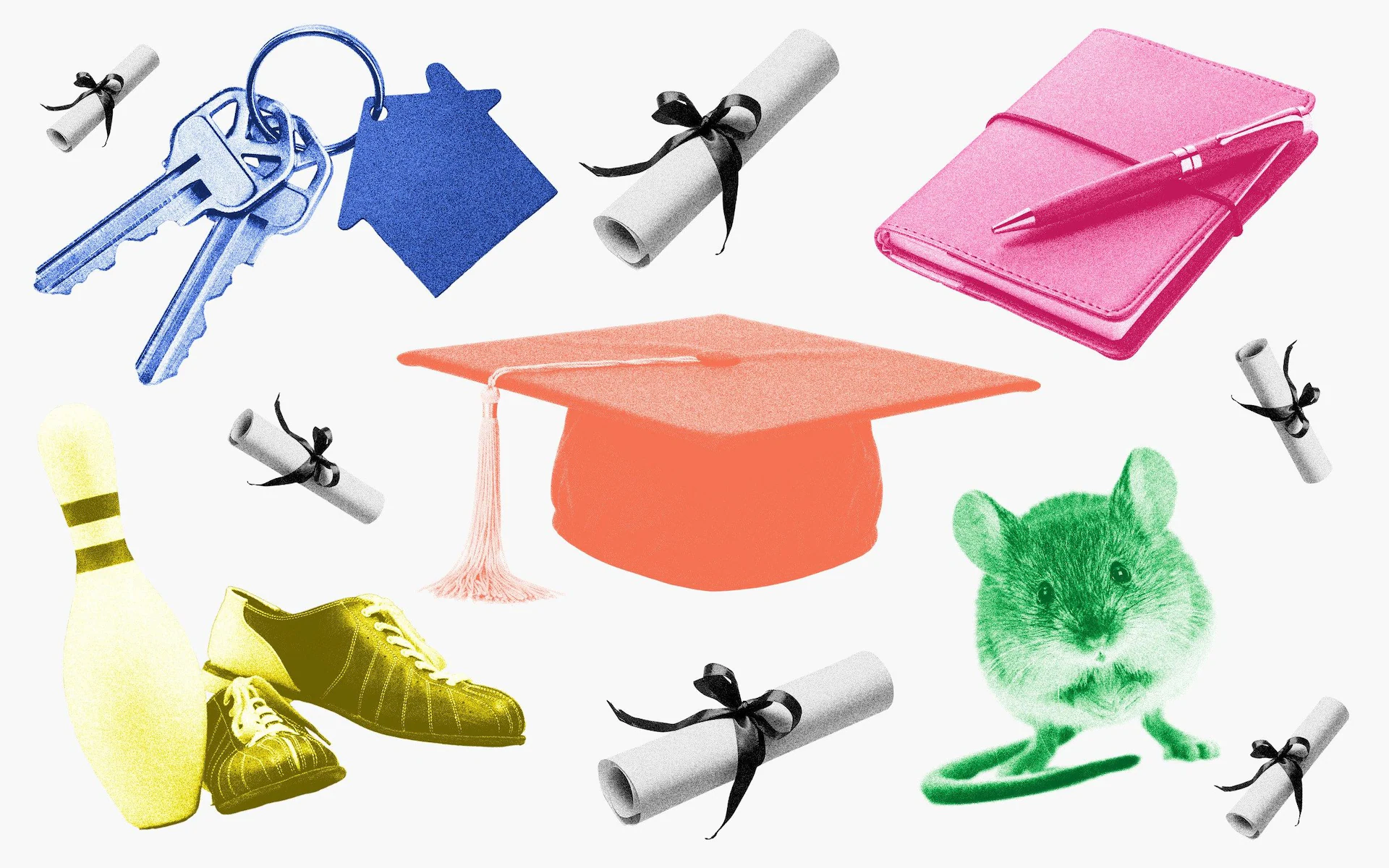 The ‘pretend’ graduate jobs propping up Britain’s bloated universities