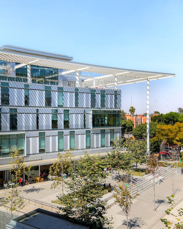 University students to be offered some free modules