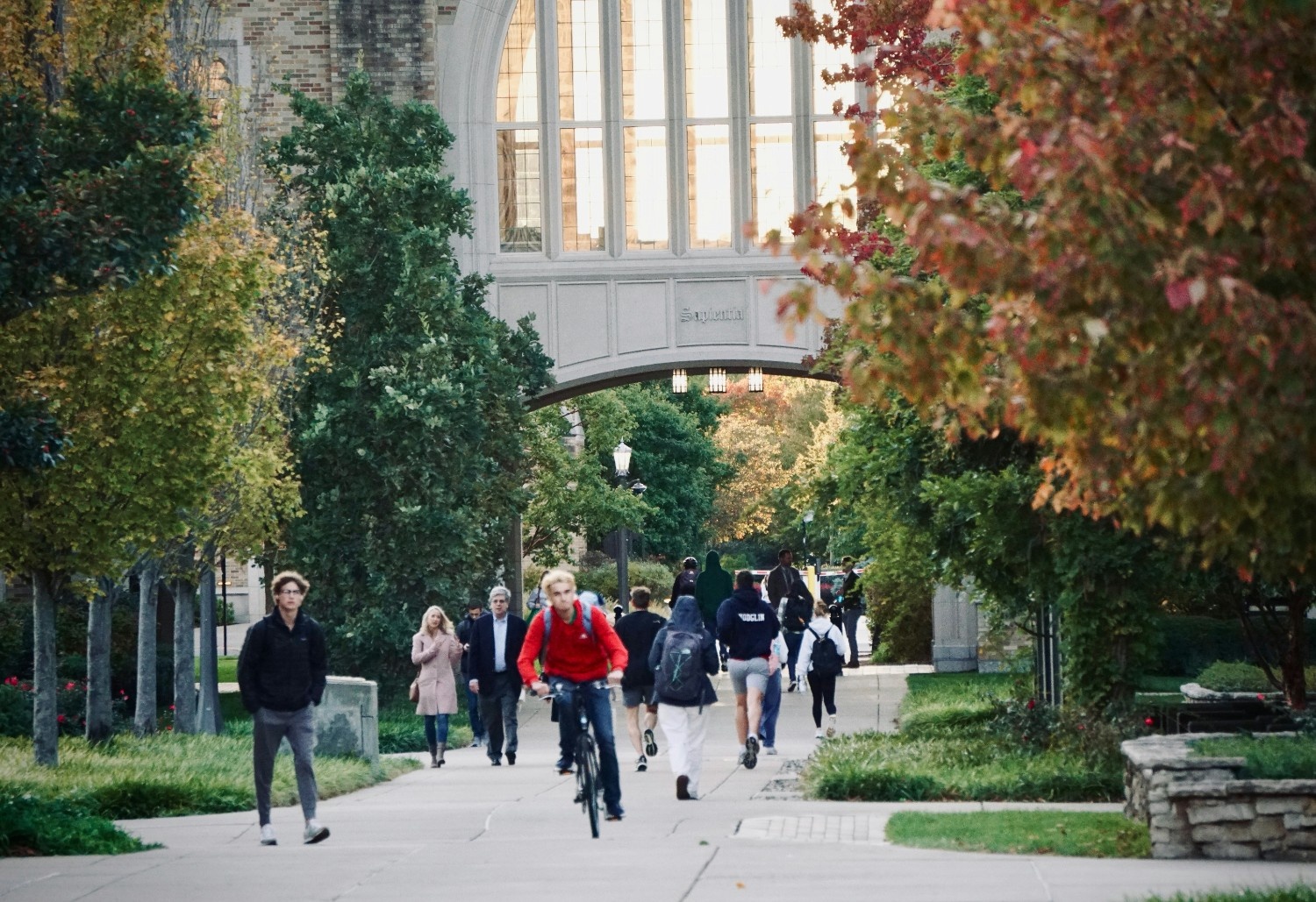 University tuition fees now worth just two-thirds of their value in real terms, new analysis shows