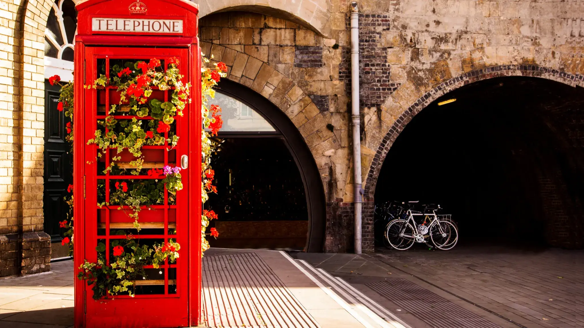 International students put employability at top of the wish list